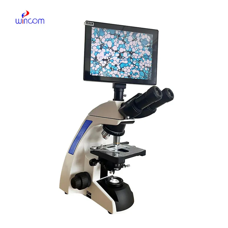 Care & Maintenance of bright microscope